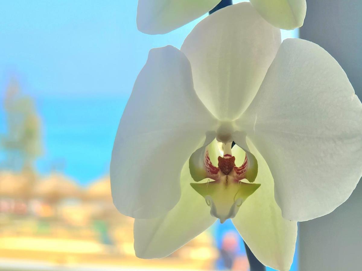 1º Linea De Playa En Pleno Centro De Fuengirola Apartment Екстериор снимка